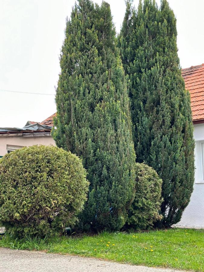 Apartmani Emily & Jully Nikšić Eksteriør bilde