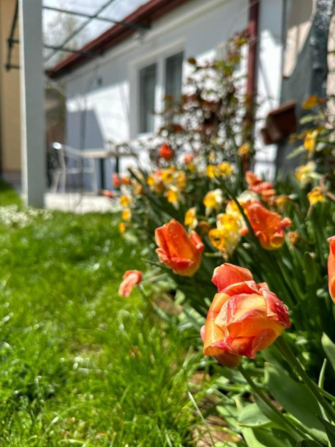 Apartmani Emily & Jully Nikšić Eksteriør bilde
